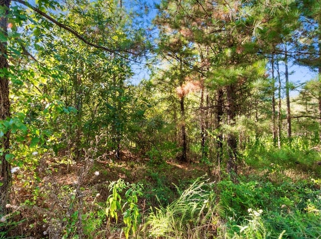 134 Creekside Trl, Broken Bow, OK 74728