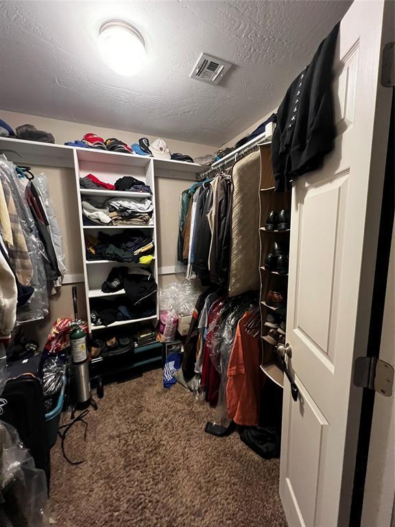 walk in closet with carpet flooring