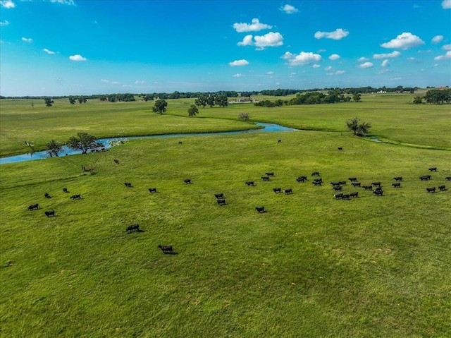 drone / aerial view with a rural view and a water view