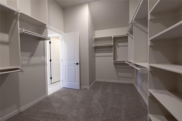 walk in closet with carpet floors