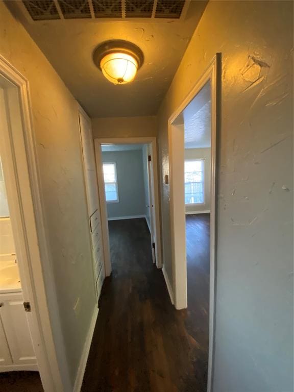 corridor with dark hardwood / wood-style floors and a healthy amount of sunlight