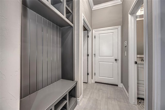 mudroom featuring light hardwood / wood-style flooring