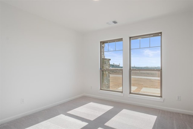 unfurnished room with light carpet and a healthy amount of sunlight