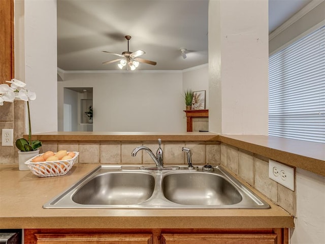 kitchen with crown molding and sink