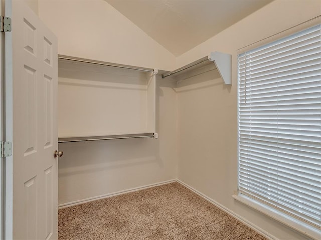 spacious closet featuring carpet and vaulted ceiling