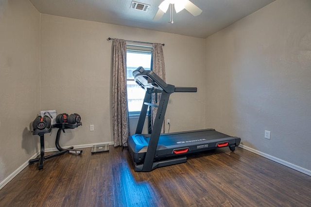 workout area featuring dark hardwood / wood-style flooring and ceiling fan