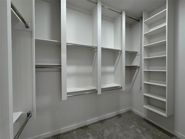 spacious closet featuring dark colored carpet