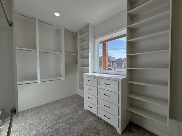 spacious closet with light carpet