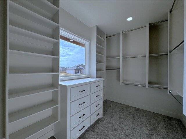 walk in closet featuring light carpet