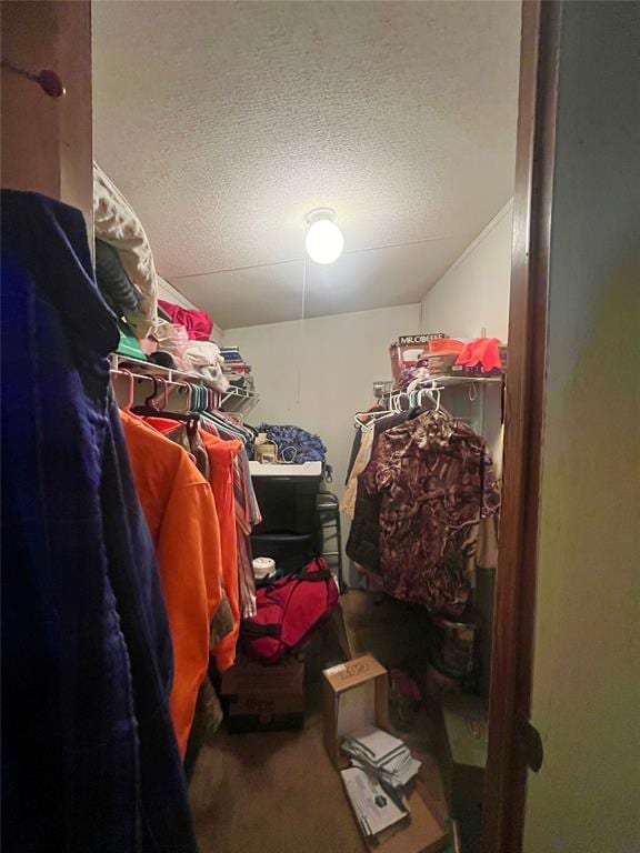 11322 Ns 3500th Rd, Prague, OK 74864 - spacious closet with carpet