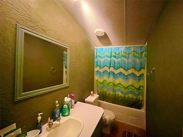 11322 Ns 3500th Rd, Prague, OK 74864 - full bath featuring toilet, a textured wall, vanity, and a textured ceiling