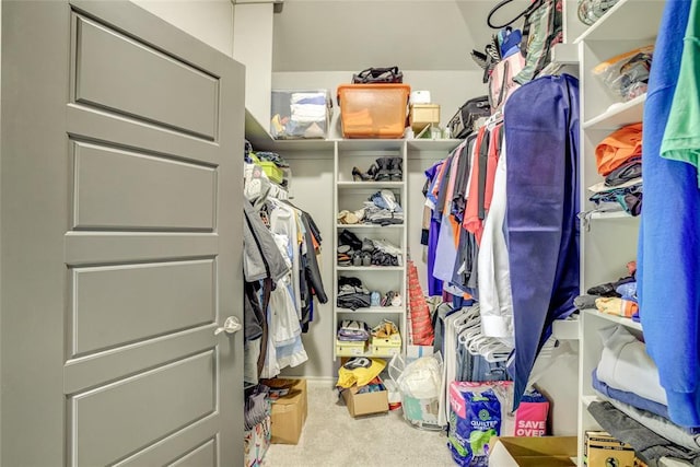 spacious closet with carpet