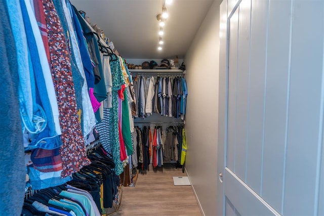 spacious closet with hardwood / wood-style flooring