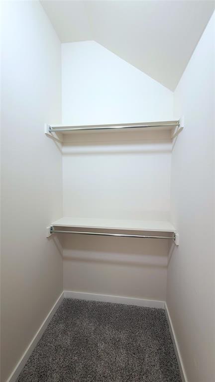 walk in closet featuring vaulted ceiling and dark colored carpet