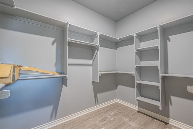 spacious closet with wood-type flooring