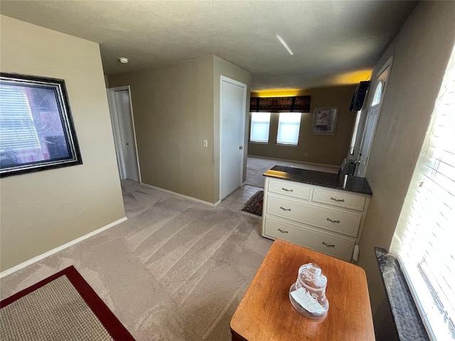 unfurnished living room with light carpet