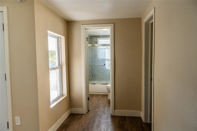 corridor with a wealth of natural light and dark hardwood / wood-style floors