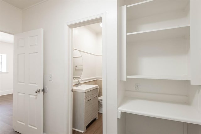 bathroom featuring hardwood / wood-style floors, vanity, and toilet