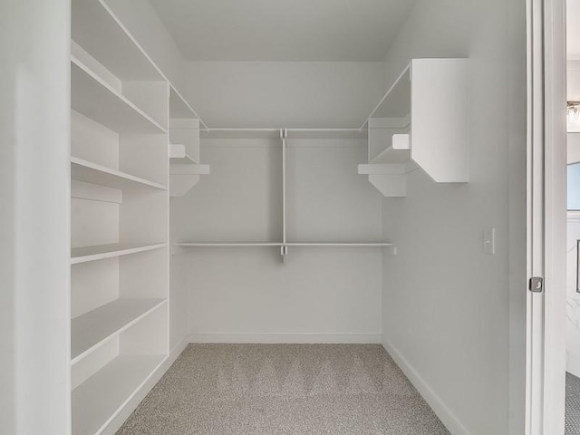 spacious closet with light colored carpet