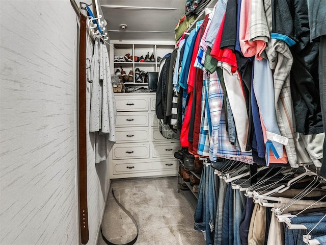 view of spacious closet