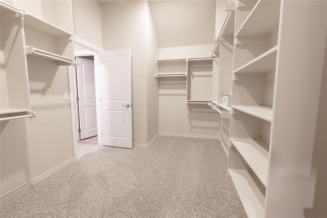 spacious closet featuring carpet flooring