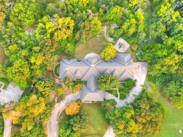 drone / aerial view