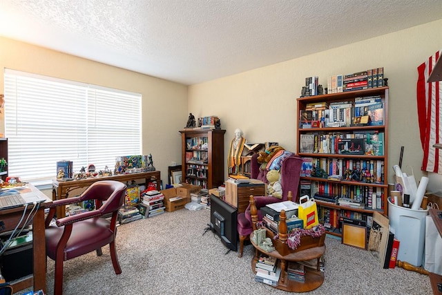 carpeted office featuring a textured ceiling