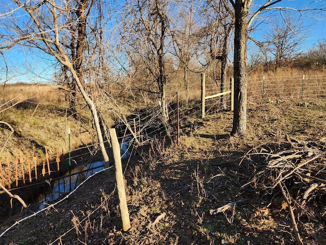 view of local wilderness