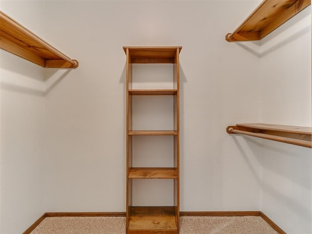 spacious closet featuring carpet flooring