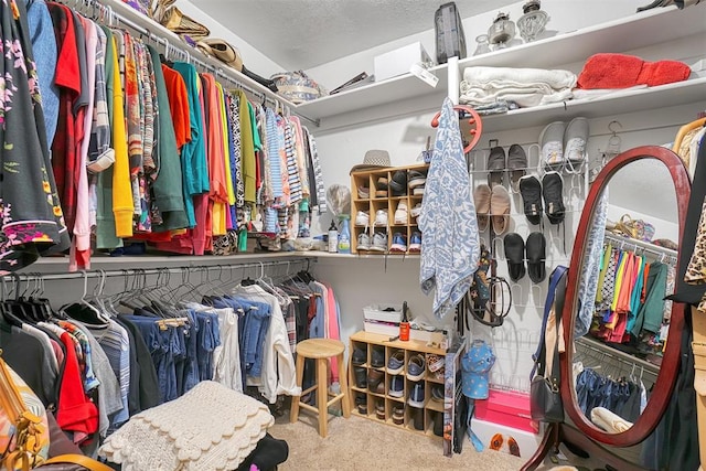 walk in closet featuring carpet floors