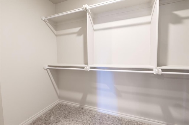 spacious closet with carpet flooring