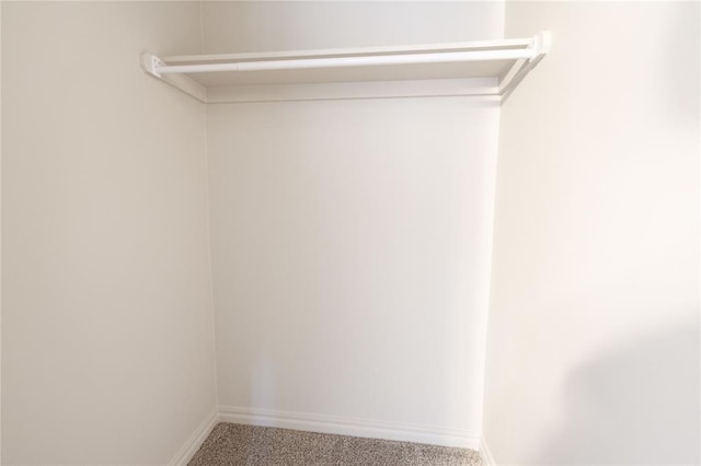 spacious closet featuring carpet flooring