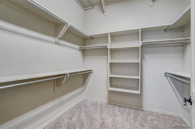 spacious closet with light carpet