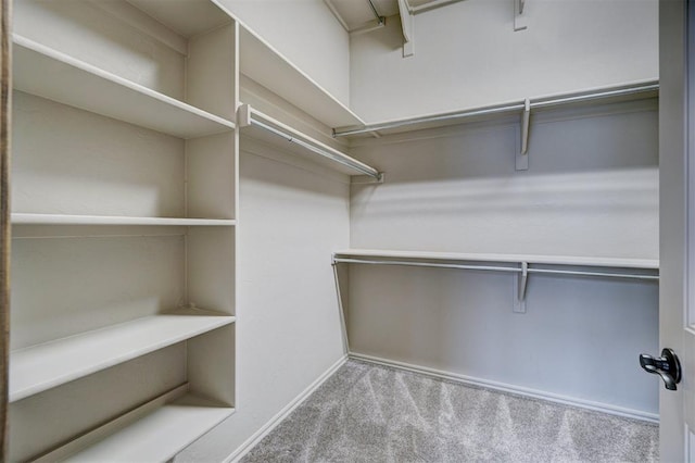 spacious closet featuring light colored carpet