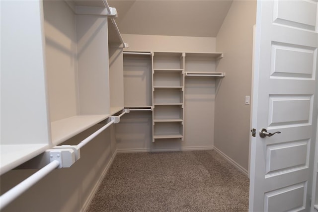 walk in closet with dark colored carpet