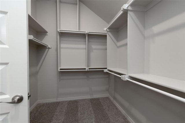 walk in closet with carpet floors