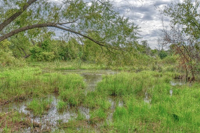 view of nature with a water view