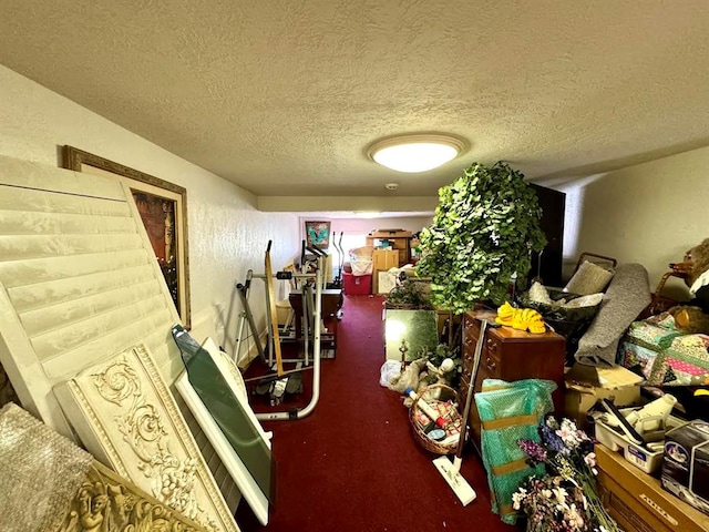 misc room with carpet and a textured ceiling