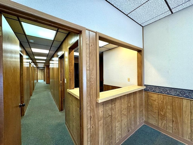 hallway featuring carpet flooring, a drop ceiling, and wood walls