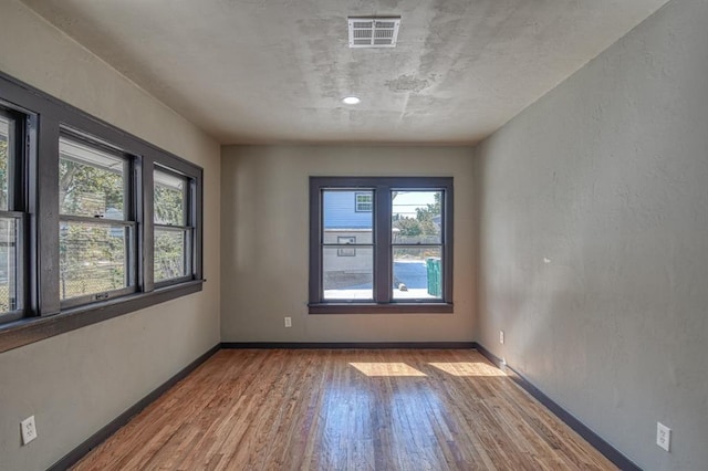 spare room featuring a healthy amount of sunlight and light hardwood / wood-style flooring