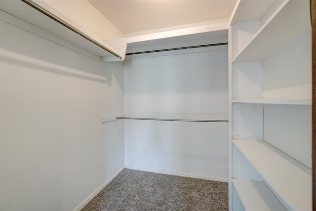 spacious closet with carpet floors