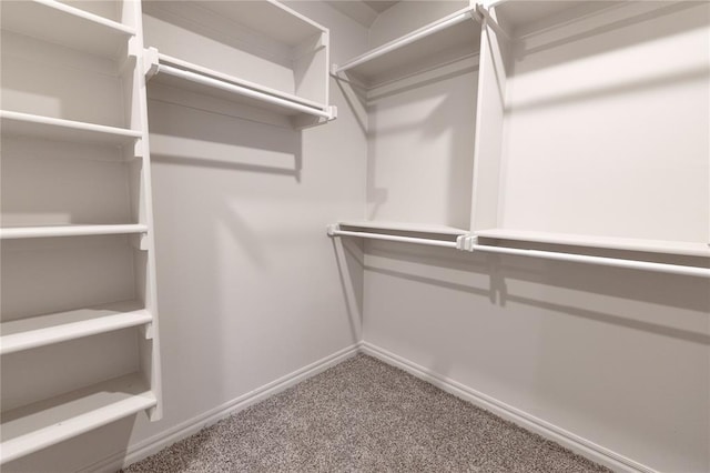 walk in closet with carpet