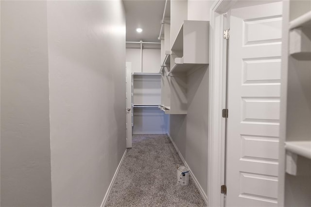 walk in closet featuring carpet flooring