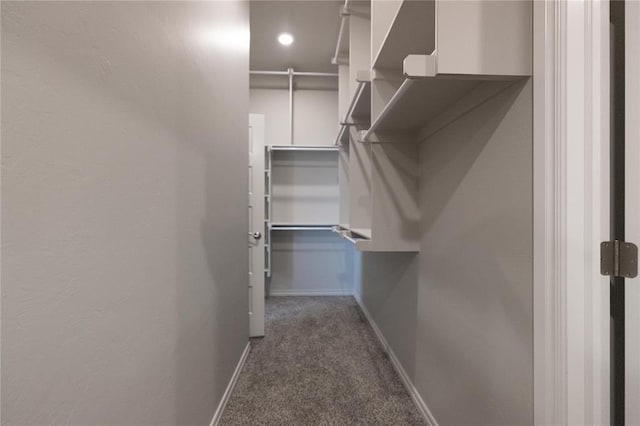 spacious closet with carpet