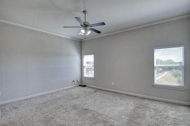 spare room featuring carpet floors, plenty of natural light, and crown molding