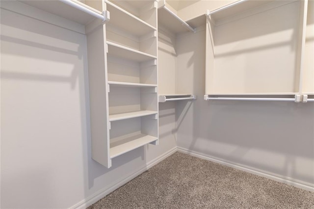 spacious closet with carpet flooring