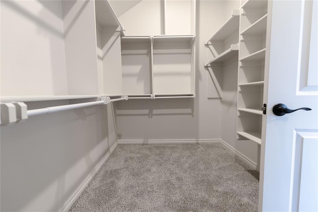 walk in closet with light carpet