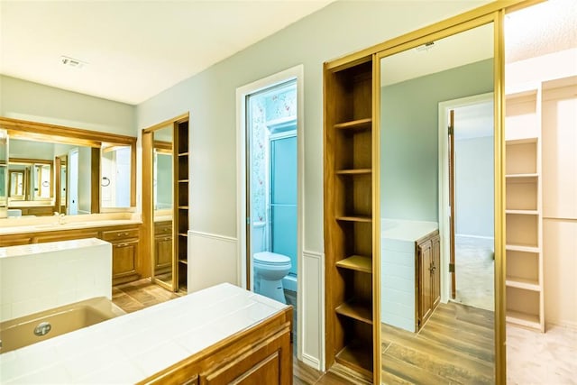 bathroom featuring vanity, wood-type flooring, and toilet