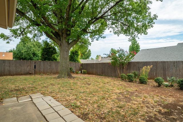 view of yard featuring a patio area