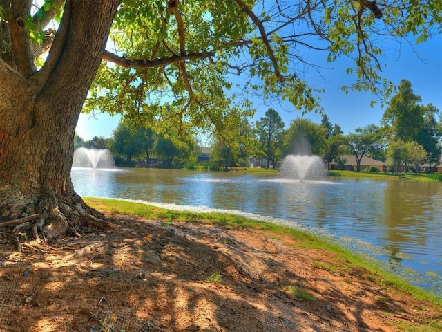 view of water feature